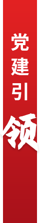 徐汇国投 徐汇国投